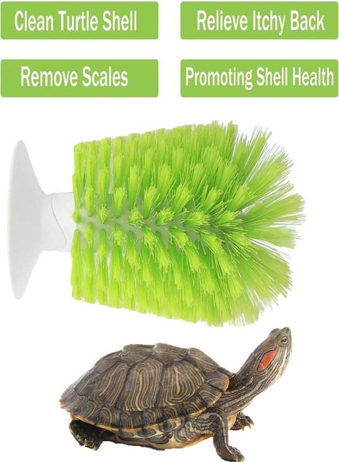 FORZENA Turtle Brush with Suction Cup for Tank Scratches - Back and Shell Cleaning, Scrub for Red Eared Slider, Exfoliate and Remove Scutes (Green) - Image 4